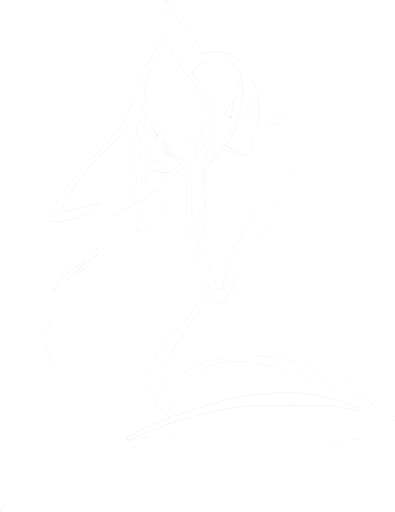 Feel The Line logo